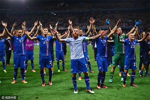 冰岛欧洲杯出场队员