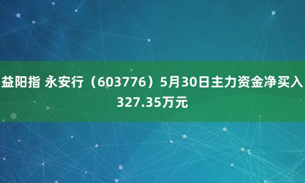 益阳指 永安行（603776）5月30日主力资金净买入327.35万元