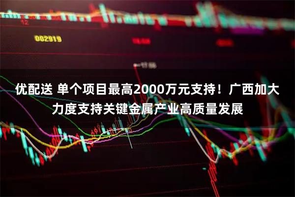 优配送 单个项目最高2000万元支持！广西加大力度支持关键金属产业高质量发展
