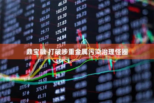 鼎宝融 打破涉重金属污染治理怪圈