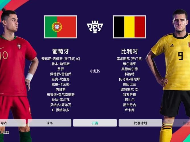 比利时vs葡萄牙历史交锋战绩的相关图片