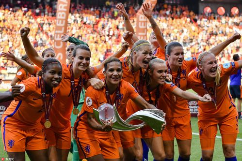 荷兰人参加欧洲杯的相关图片